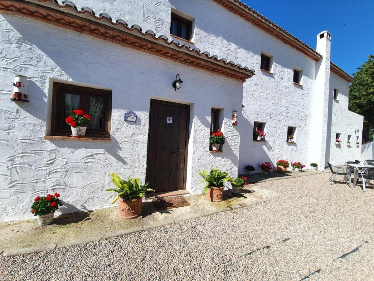 La Luna Del Sur B&B Alfacar Exterior foto